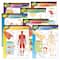 The Human Body Learning Charts Combo Pack, Set of 7
